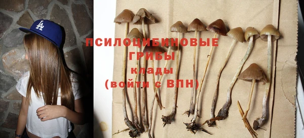 PSILOCYBIN Алексин