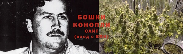 шишки Алексеевка