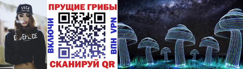 купить закладку  Солнечногорск  Галлюциногенные грибы Magic Shrooms 